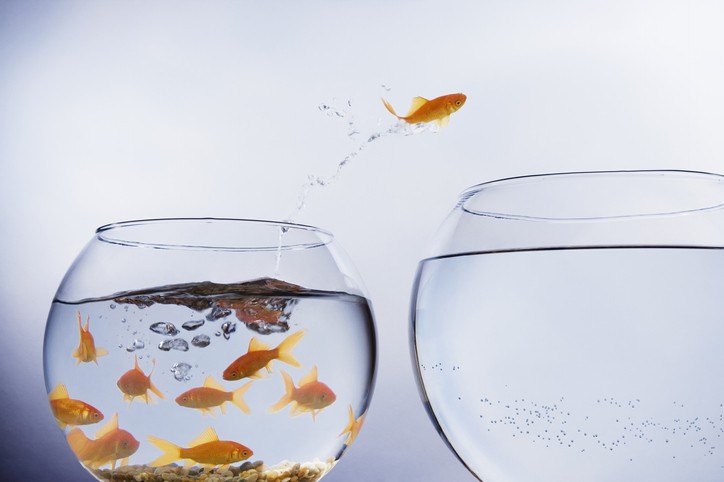 Ultimate Ecommerce Experience To Users