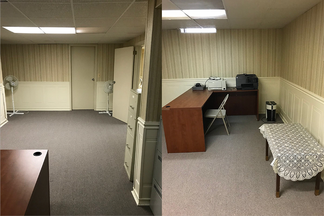 Iovista Small Basement in Michigan