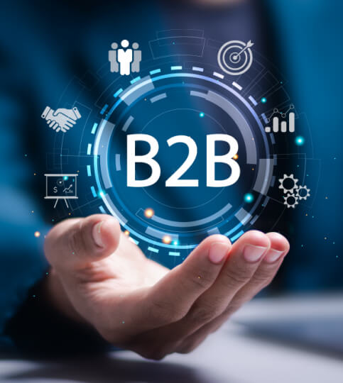 B2B Ecommerce Features